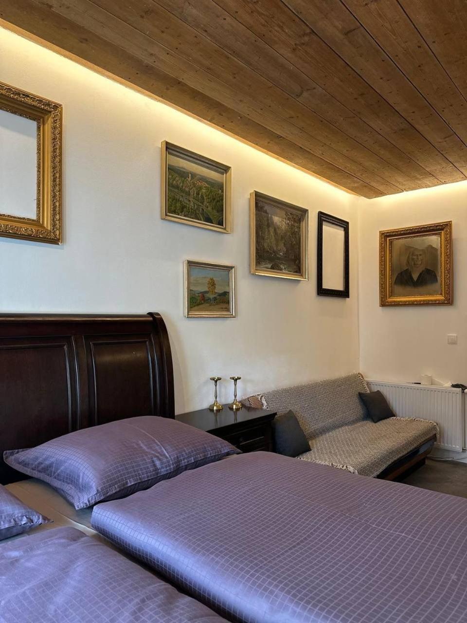 Pension Merano Jetrichovice  Exterior foto